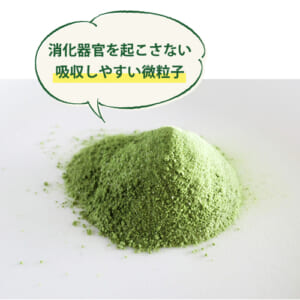 OYASUMI AOJIRU